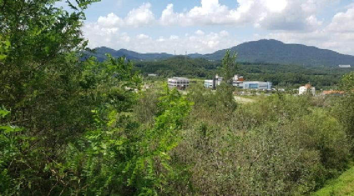 충청남도 천안시 동남구 성남면 용원리 738
