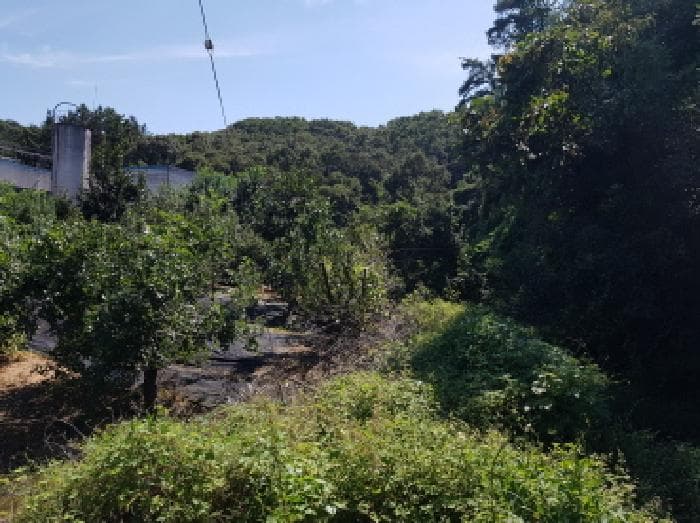 충청남도 천안시 동남구 목천읍 응원리 19