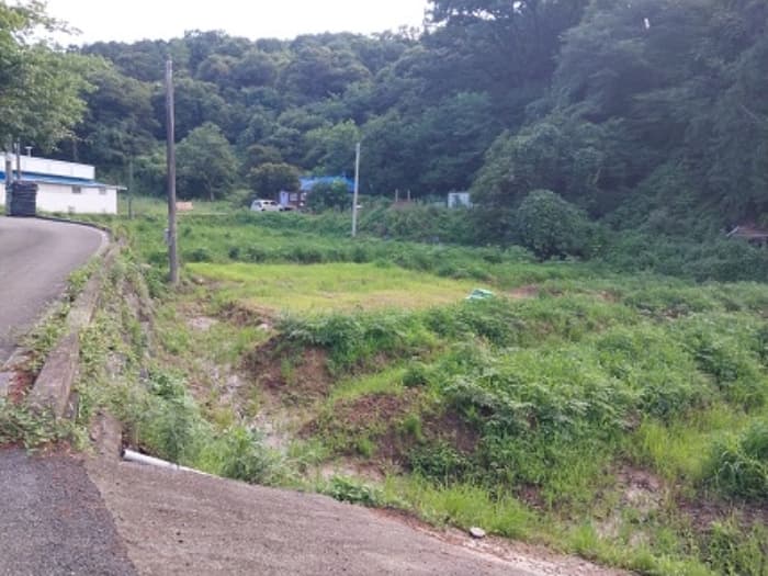 충청남도 공주시 금학동 341-1 외 1 필지