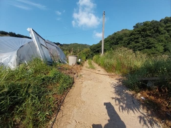 충청남도 공주시 유구읍 유구리 61-1 외 2 필지