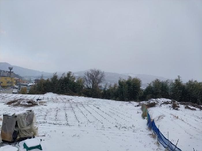 충청남도 공주시 유구읍 석남리 270-16 외 1 필지
