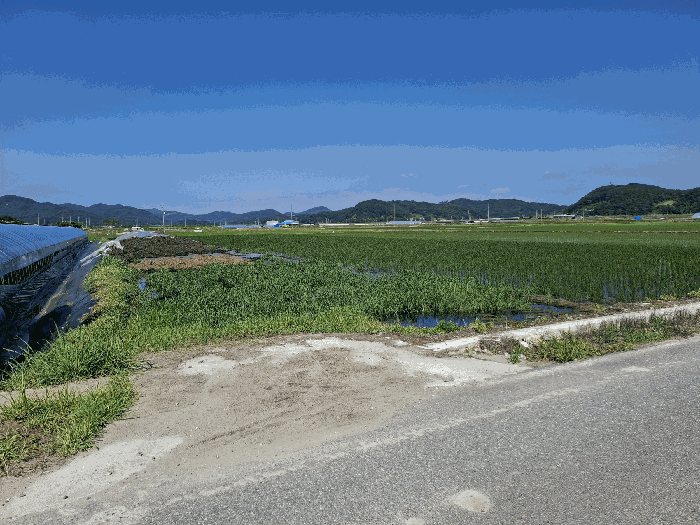 충청남도 청양군 청남면 동강리 665-10