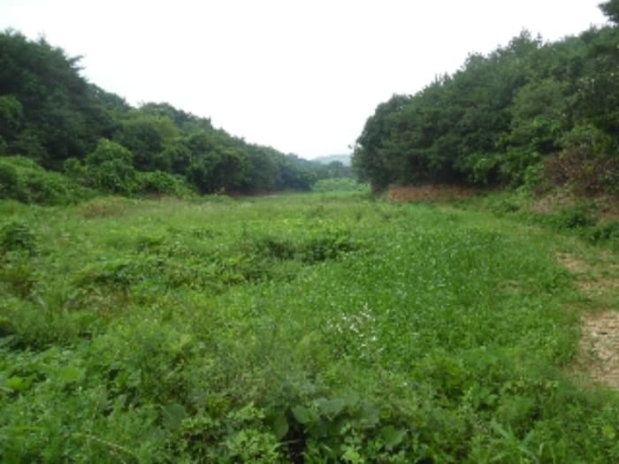 충청남도 서산시 해미면 오학리 42-6 외 1 필지