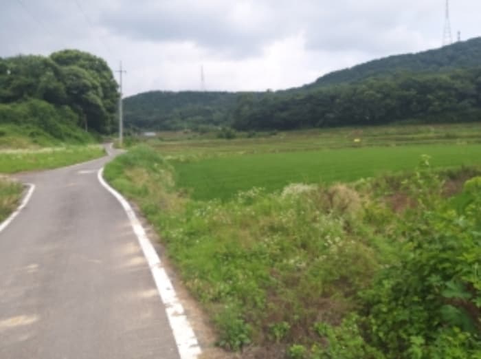 충청남도 당진시 송악읍 석포리 104