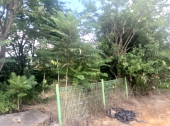 충청남도 당진시 송악읍 부곡리 340-5 외 4 필지