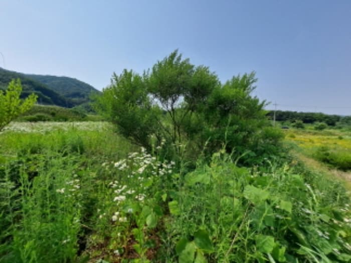 충청남도 서산시 운산면 고산리 423-21
