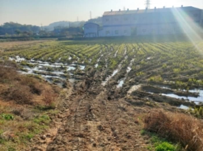 충청남도 당진시 송악읍 석포리 321-29