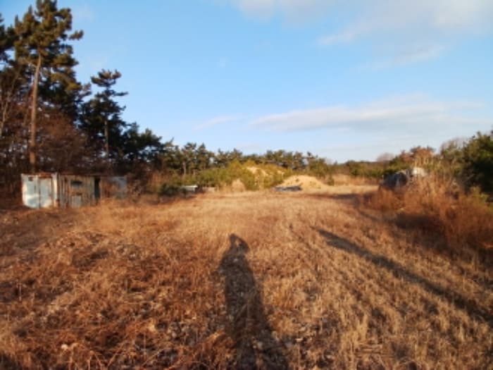 충청남도 서산시 대산읍 대로리 산141-35