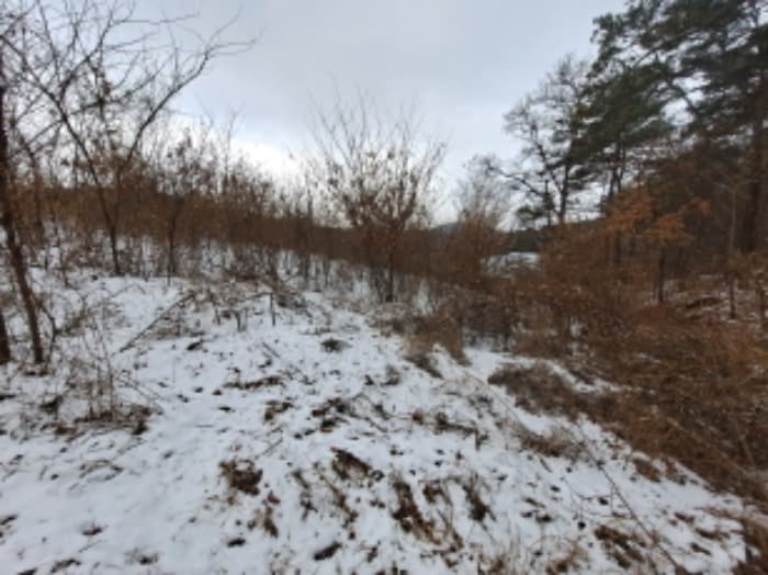 충청남도 당진시 송악읍 월곡리 산48-4 외 5 필지