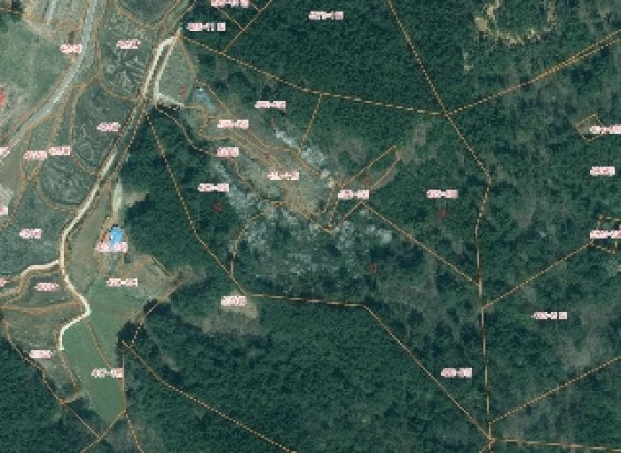 충청남도 태안군 이원면 포지리 425-2