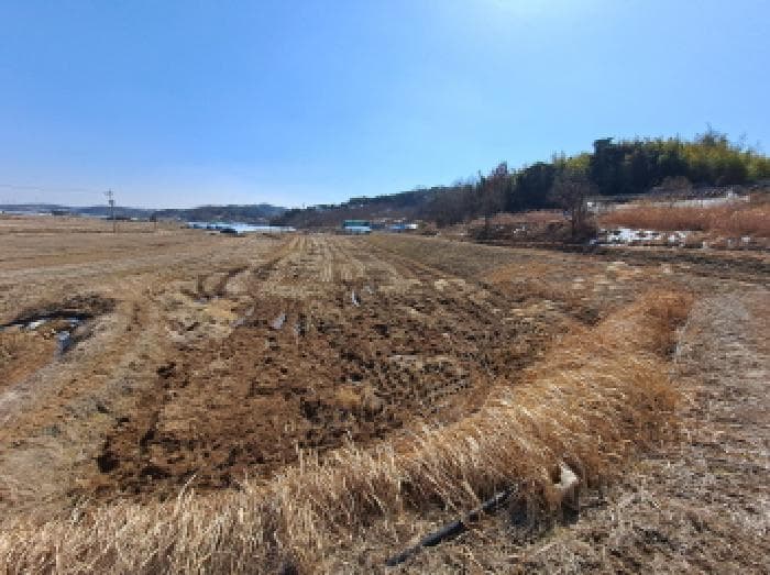 충청남도 당진시 면천면 성하리 53-1 외 4 필지