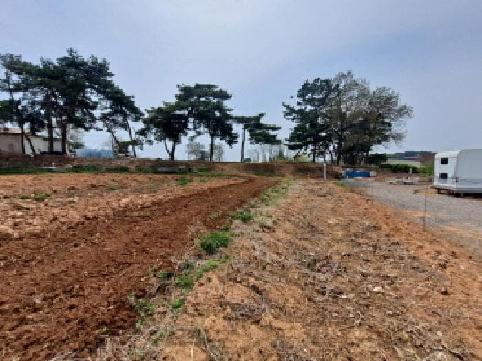 충청남도 당진시 신평면 매산리 95-137 외 3 필지