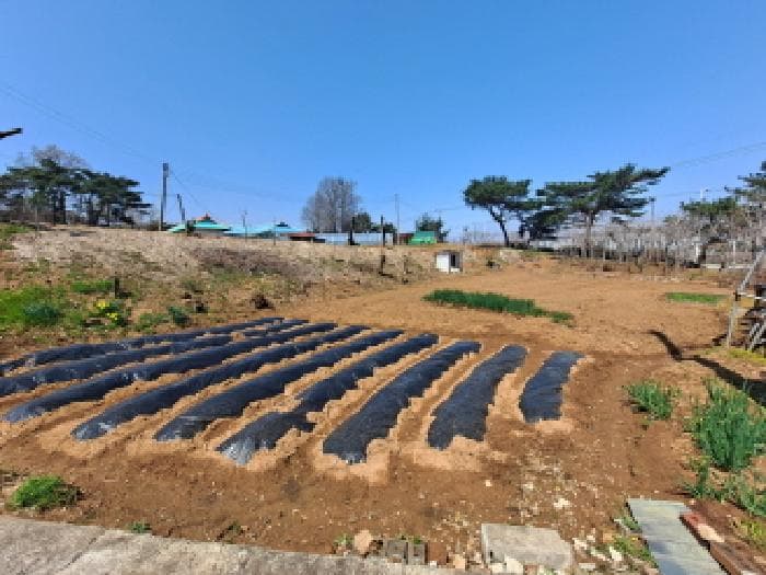 충청남도 당진시 송악읍 한진리 29-5
