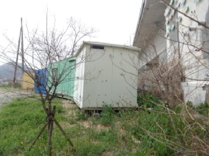 충청남도 태안군 근흥면 정죽리 1305-3