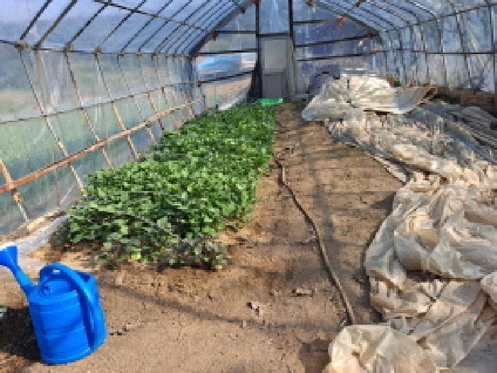 충청남도 당진시 송산면 당산리 202