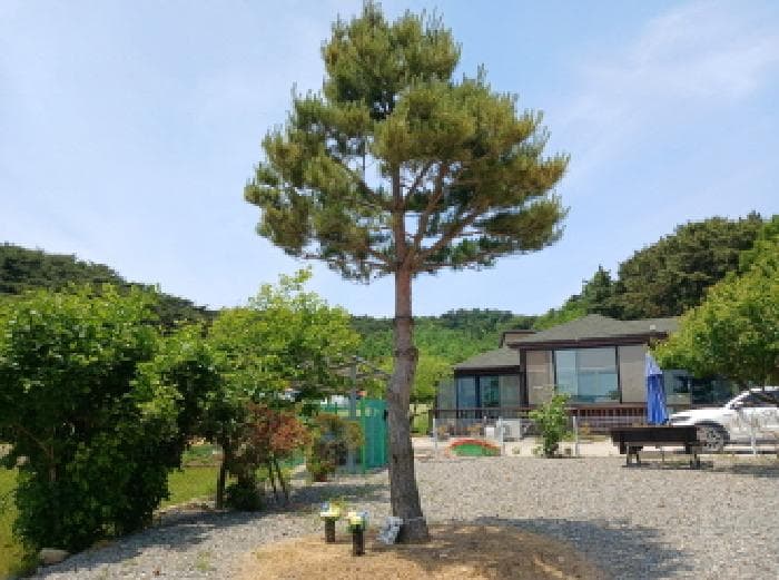 충청남도 서산시 갈산동 820-4