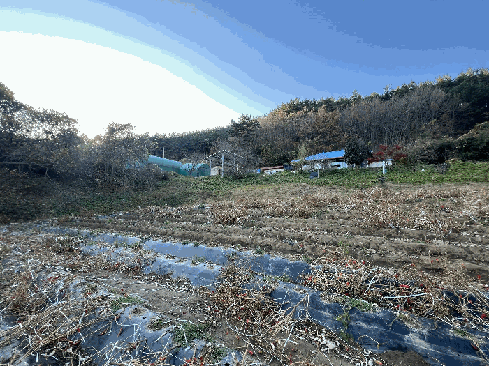 충청남도 태안군 이원면 포지리 583