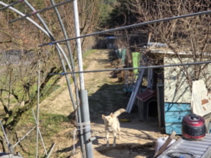 경상북도 영천시 고경면 학리 산57 외 1 필지