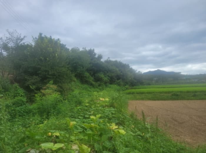 경상북도 영천시 화산면 대안리 983-2 외 6 필지
