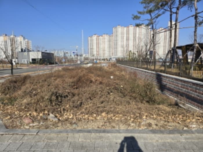 경상북도 영천시 완산동 504