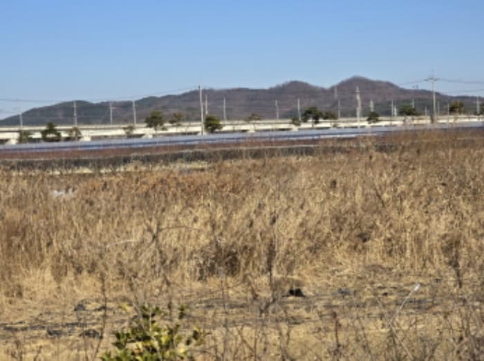 경상북도 영천시 금호읍 냉천리 417-7 외 1 필지