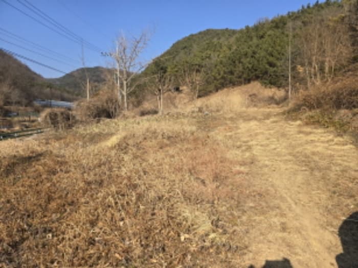 경상북도 경산시 하양읍 남하리 44