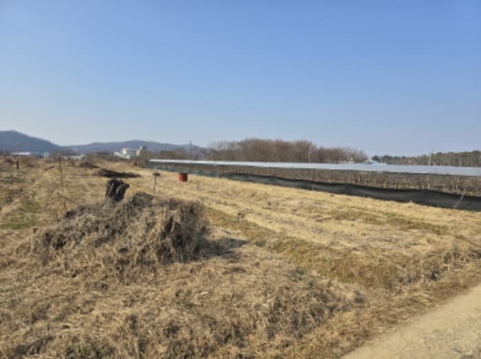 경상북도 영천시 봉동 719-20 외 1 필지