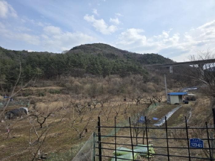 경상북도 영천시 대창면 조곡리 1115