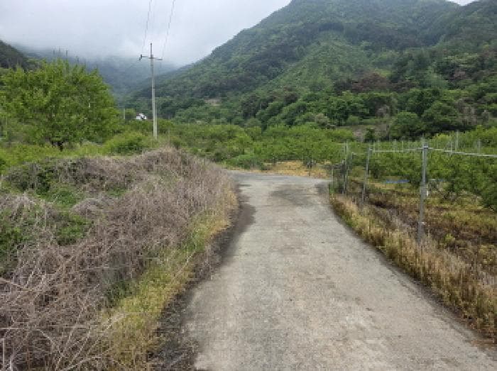 경상북도 청도군 금천면 오봉리 860 외 2 필지