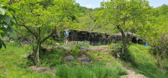 경상북도 경산시 용성면 고은리 288