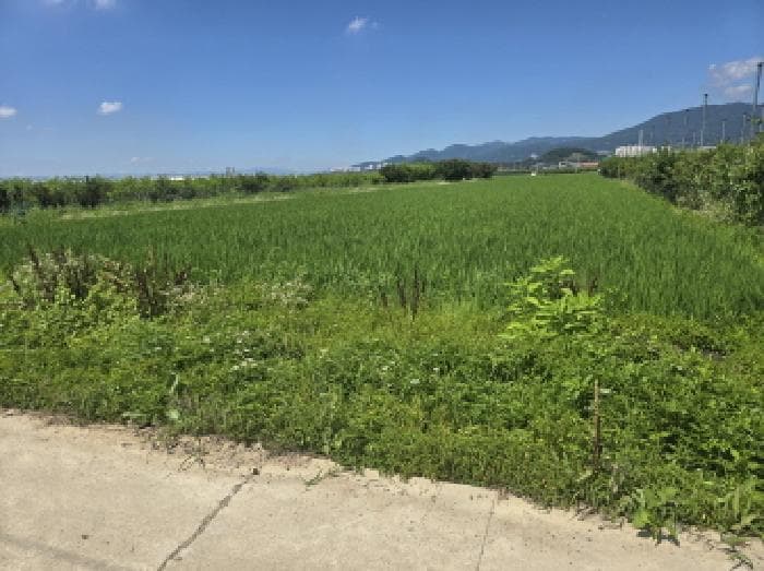 경상북도 경산시 와촌면 상암리 1038