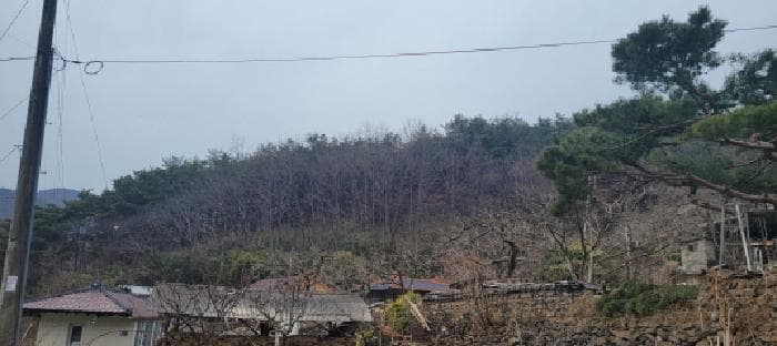 경상북도 청도군 매전면 하평리 산2 외 2 필지