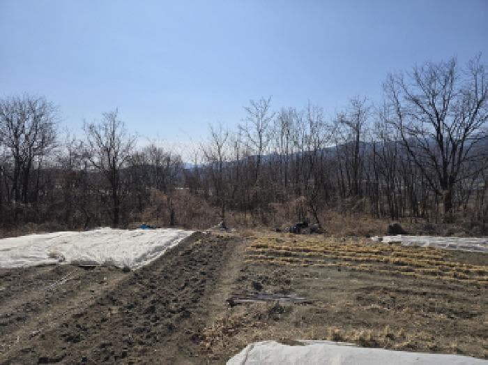 경상북도 영천시 신녕면 완전리 775-3