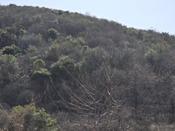 경상북도 영천시 화남면 온천리 391