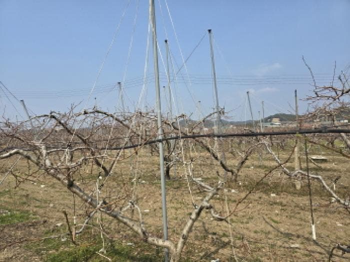 경상북도 영천시 임고면 덕연리 279 외 3 필지