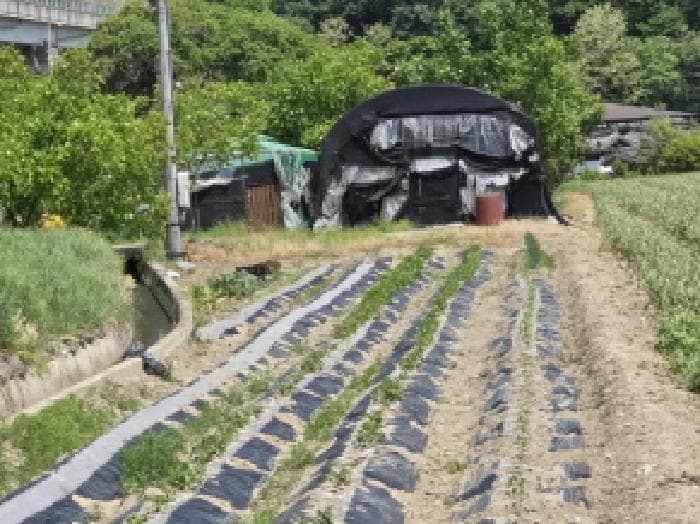 경상북도 영천시 화산면 덕암리 223