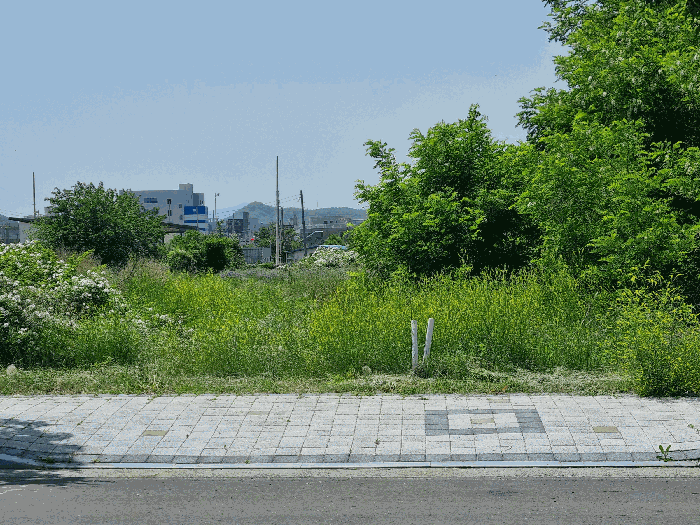 경상북도 영천시 완산동 726