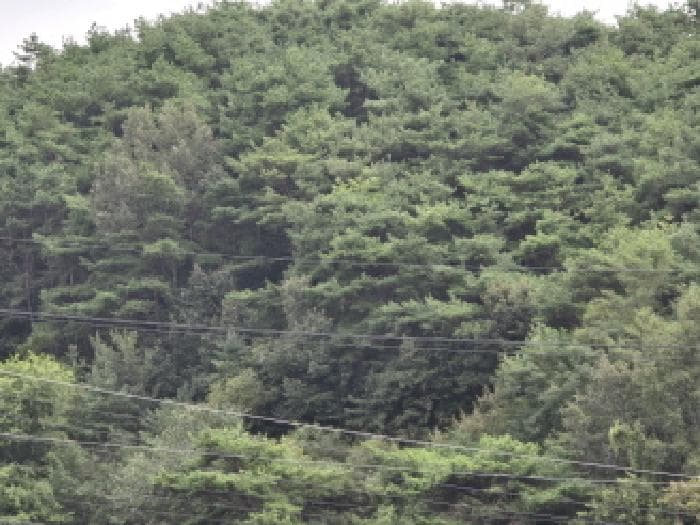 경상북도 칠곡군 동명면 득명리 200