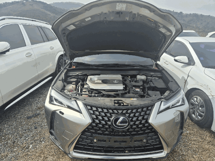 토요타 렉서스 UX250h 2WD 2019년식