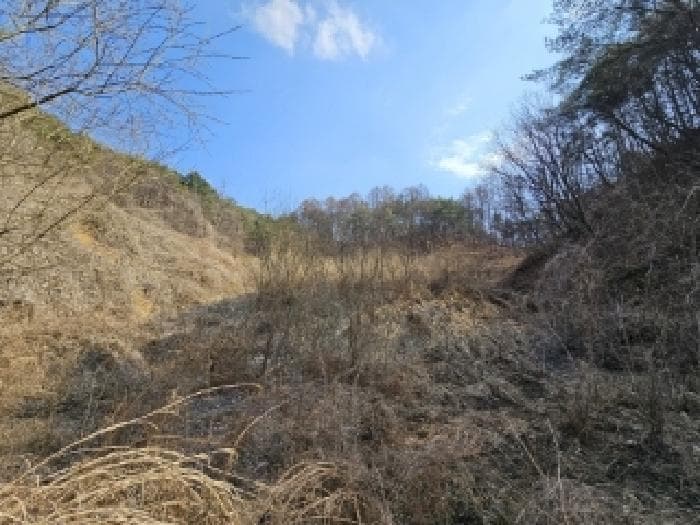 경상북도 영주시 평은면 오운리 1343