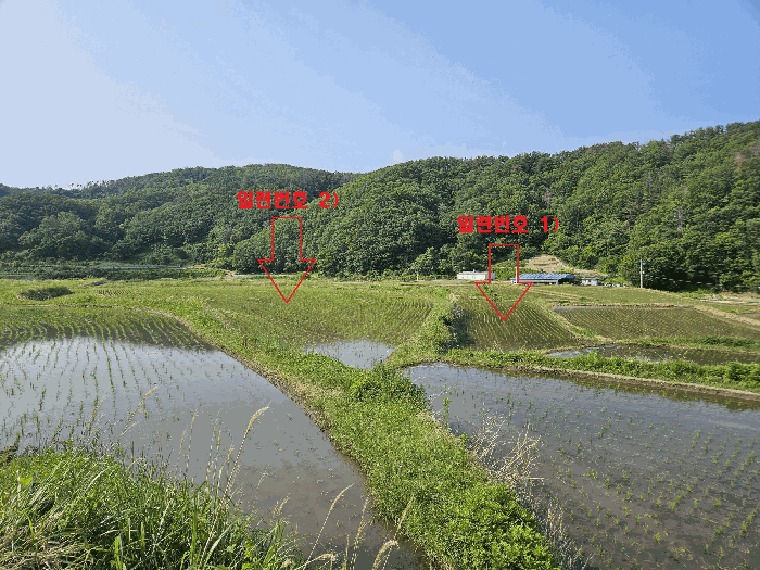 경상북도 경주시 양남면 석촌리 510 외 1 필지