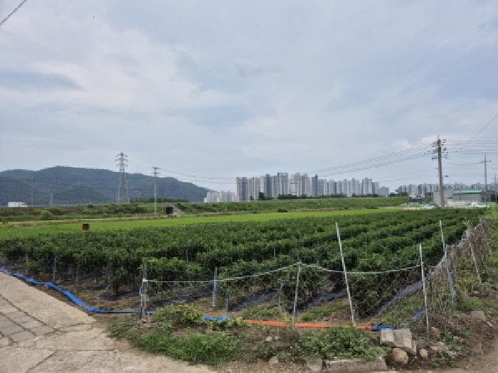 경상북도 경주시 현곡면 라원리 492-2 외 2 필지