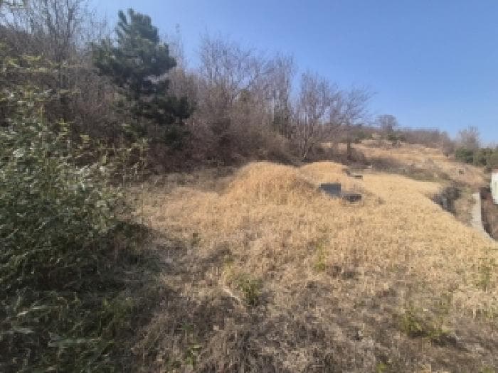경상북도 경주시 양남면 읍천리 422