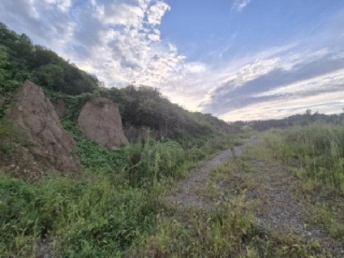 경상북도 경주시 천군동 산266 외 1 필지