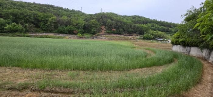 경상북도 구미시 산동읍 적림리 431-1