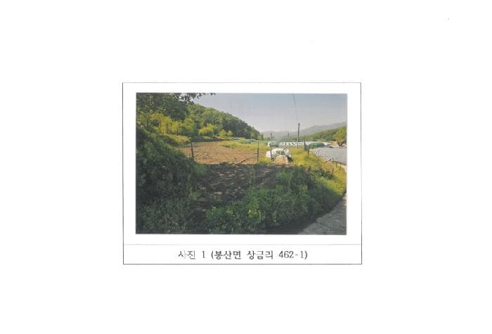 경상북도 김천시 봉산면 상금리 462-1 외 1 필지