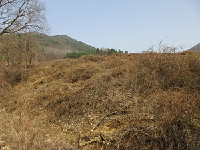 경상북도 문경시 농암면 내서리 723-9