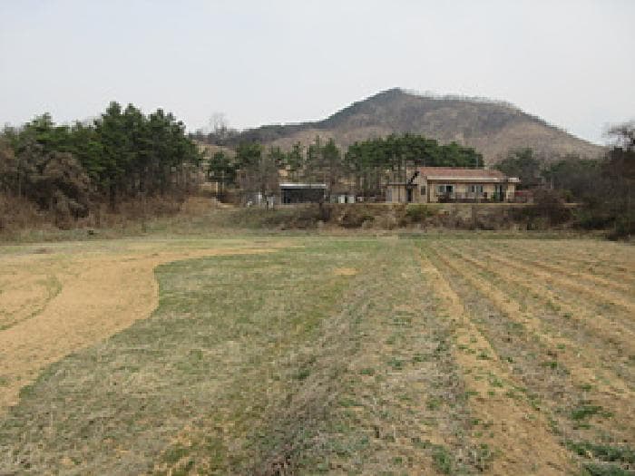 경상북도 예천군 풍양면 낙상리 663-4 외 1 필지