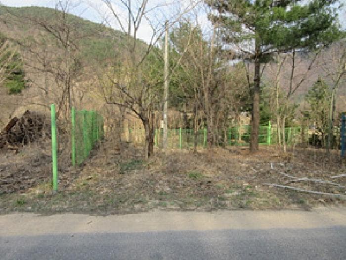 경상북도 문경시 농암면 내서리 265