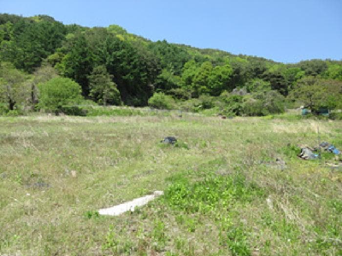 경상북도 문경시 동로면 석항리 271 외 1 필지